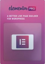Elementor PRO + Full Template Kits - free Updated for 1 year